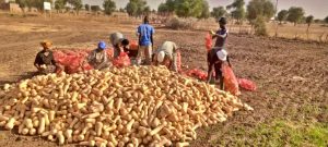 Banniere GMM AGRO V4 (1)