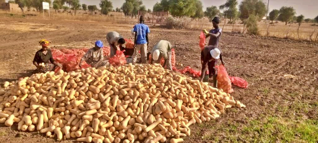 Banniere GMM AGRO V4 (1)